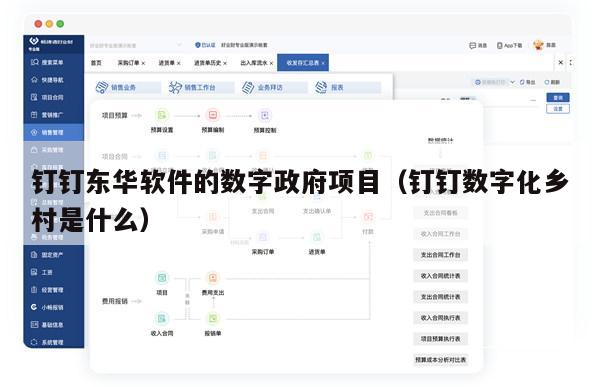 钉钉东华软件的数字政府项目（钉钉数字化乡村是什么）