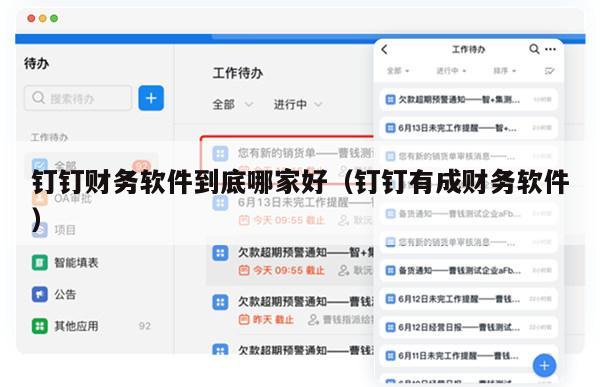 钉钉财务软件到底哪家好（钉钉有成财务软件）