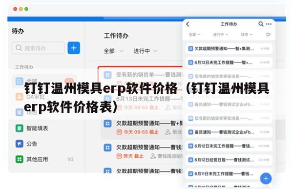 钉钉温州模具erp软件价格（钉钉温州模具erp软件价格表）