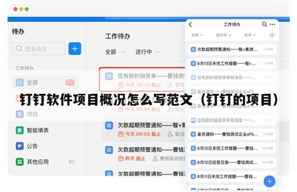 钉钉软件项目概况怎么写范文（钉钉的项目）