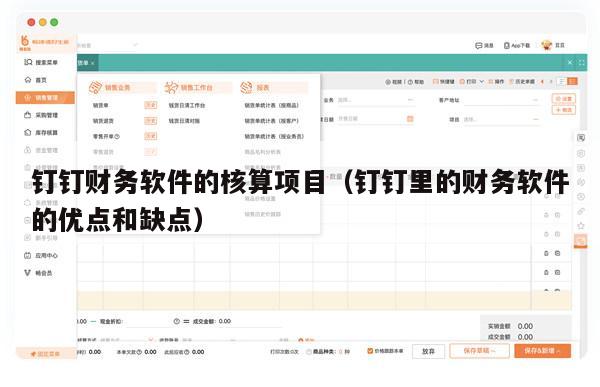钉钉财务软件的核算项目（钉钉里的财务软件的优点和缺点）