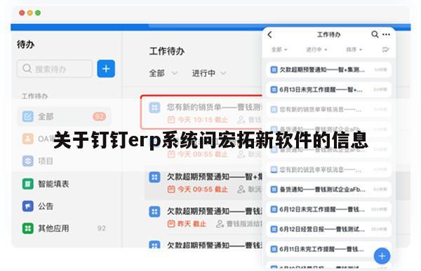 关于钉钉erp系统问宏拓新软件的信息