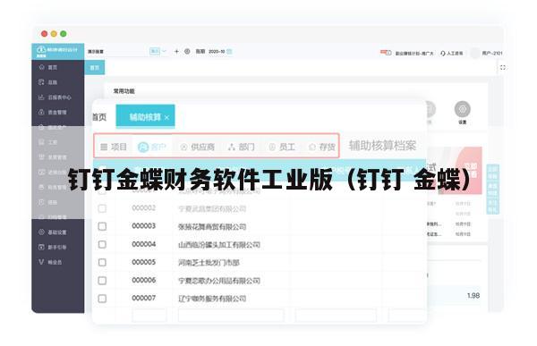 钉钉金蝶财务软件工业版（钉钉 金蝶）