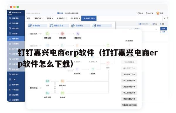 钉钉嘉兴电商erp软件（钉钉嘉兴电商erp软件怎么下载）