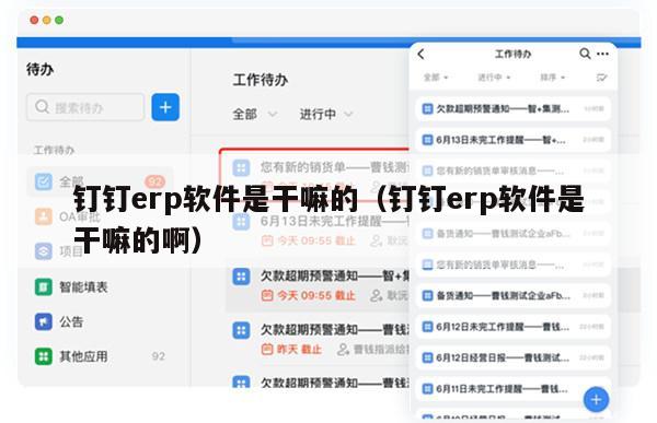 钉钉erp软件是干嘛的（钉钉erp软件是干嘛的啊）