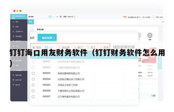 钉钉海口用友财务软件（钉钉财务软件怎么用）