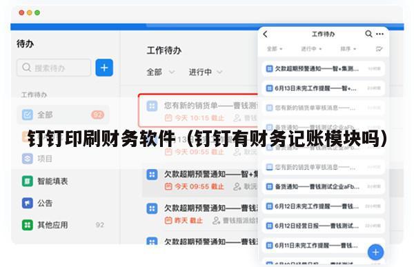 钉钉印刷财务软件（钉钉有财务记账模块吗）