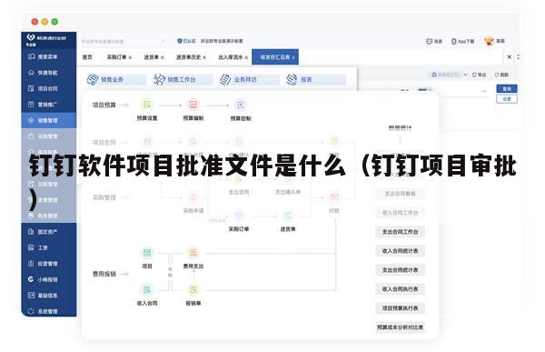钉钉软件项目批准文件是什么（钉钉项目审批）