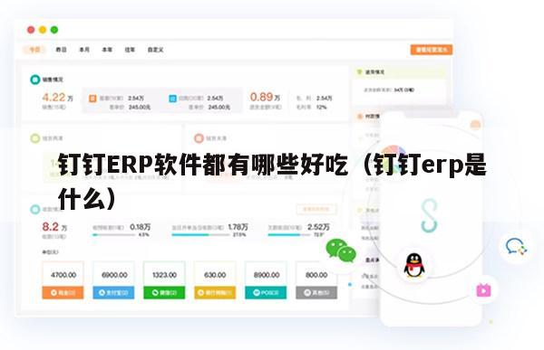钉钉ERP软件都有哪些好吃（钉钉erp是什么）