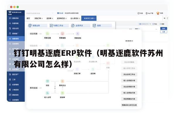 钉钉明基逐鹿ERP软件（明基逐鹿软件苏州有限公司怎么样）