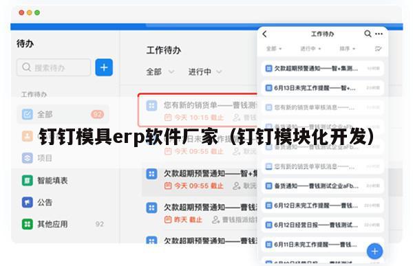 钉钉模具erp软件厂家（钉钉模块化开发）