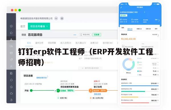 钉钉erp软件工程师（ERP开发软件工程师招聘）