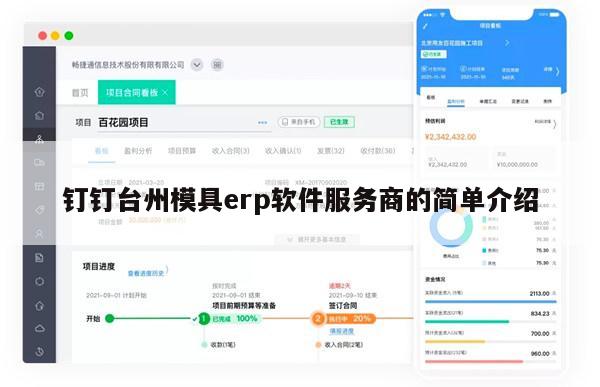 钉钉台州模具erp软件服务商的简单介绍