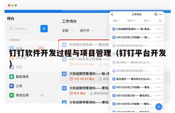 钉钉软件开发过程与项目管理（钉钉平台开发）