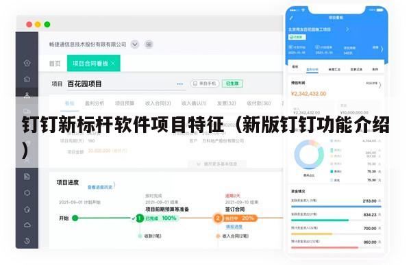 钉钉新标杆软件项目特征（新版钉钉功能介绍）