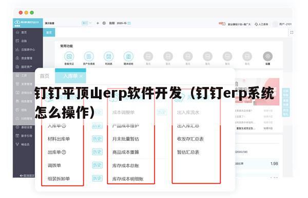 钉钉平顶山erp软件开发（钉钉erp系统怎么操作）