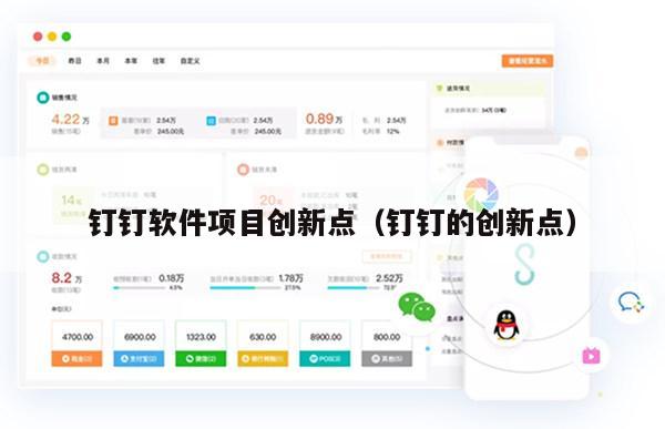钉钉软件项目创新点（钉钉的创新点）