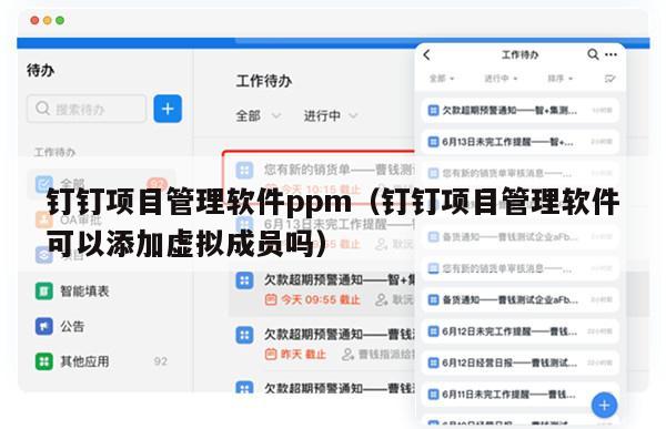 钉钉项目管理软件ppm（钉钉项目管理软件可以添加虚拟成员吗）