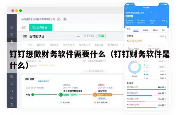 钉钉想做财务软件需要什么（钉钉财务软件是什么）