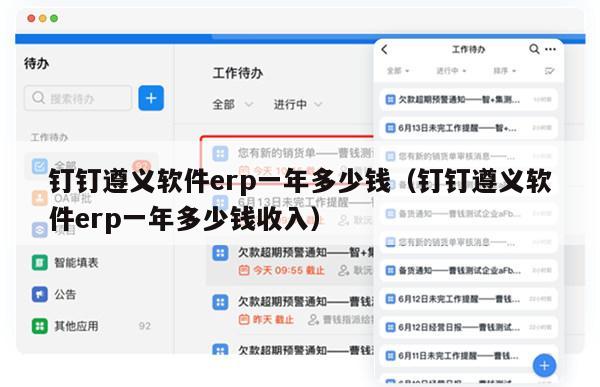 钉钉遵义软件erp一年多少钱（钉钉遵义软件erp一年多少钱收入）