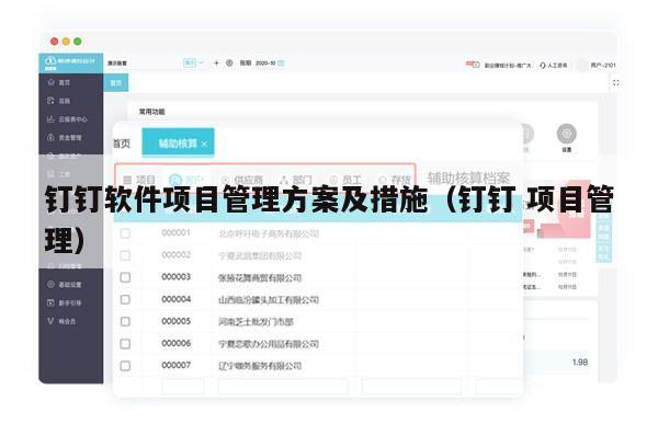 钉钉软件项目管理方案及措施（钉钉 项目管理）