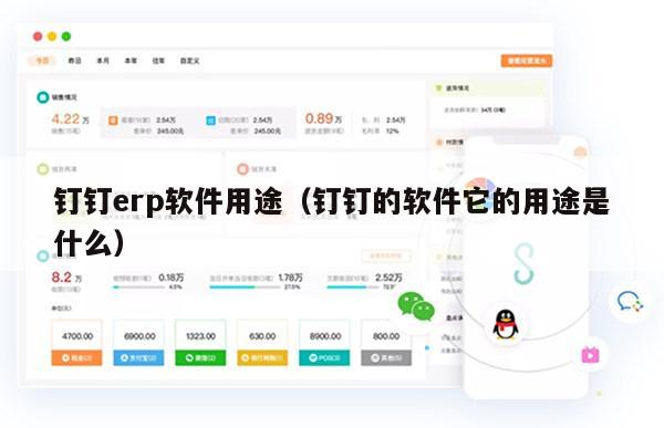 钉钉erp软件用途（钉钉的软件它的用途是什么）