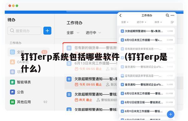 钉钉erp系统包括哪些软件（钉钉erp是什么）