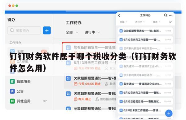 钉钉财务软件属于哪个税收分类（钉钉财务软件怎么用）