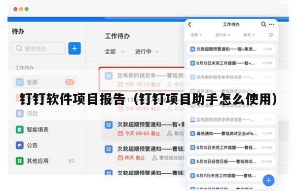 钉钉软件项目报告（钉钉项目助手怎么使用）