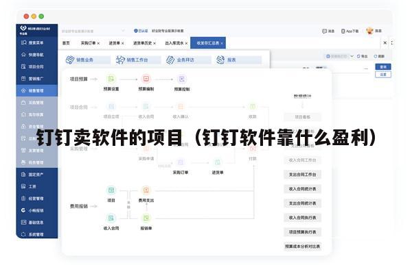 钉钉卖软件的项目（钉钉软件靠什么盈利）