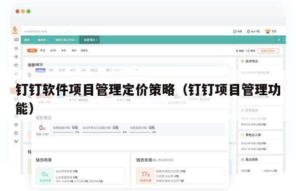 钉钉软件项目管理定价策略（钉钉项目管理功能）