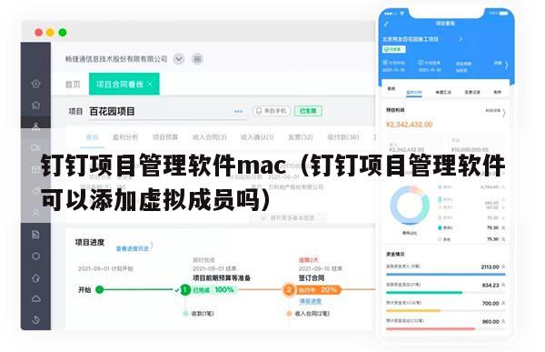 钉钉项目管理软件mac（钉钉项目管理软件可以添加虚拟成员吗）