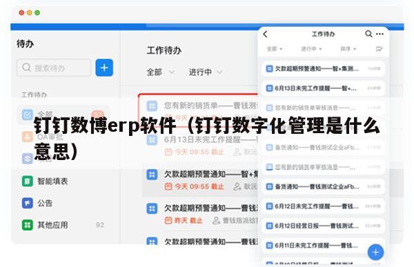 钉钉数博erp软件（钉钉数字化管理是什么意思）