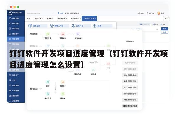 钉钉软件开发项目进度管理（钉钉软件开发项目进度管理怎么设置）