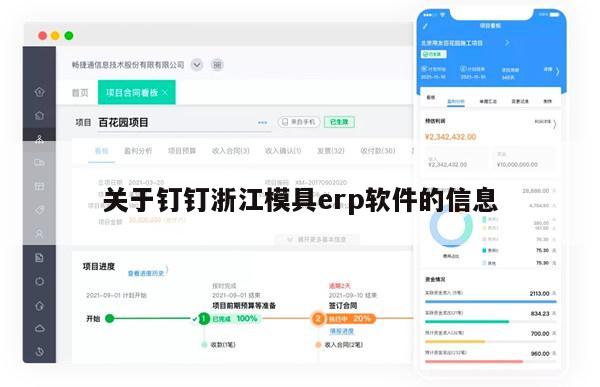 关于钉钉浙江模具erp软件的信息