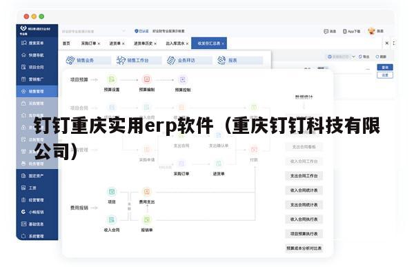 钉钉重庆实用erp软件（重庆钉钉科技有限公司）