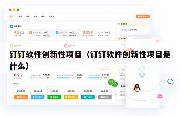 钉钉软件创新性项目（钉钉软件创新性项目是什么）