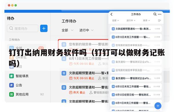 钉钉出纳用财务软件吗（钉钉可以做财务记账吗）