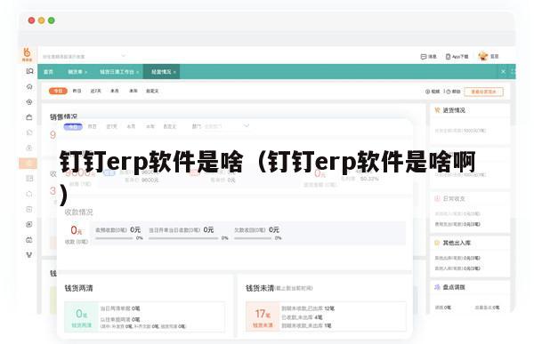 钉钉erp软件是啥（钉钉erp软件是啥啊）