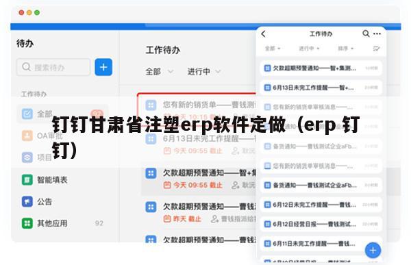 钉钉甘肃省注塑erp软件定做（erp 钉钉）