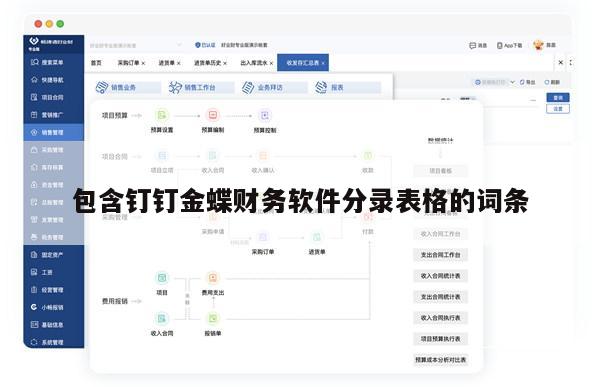 包含钉钉金蝶财务软件分录表格的词条