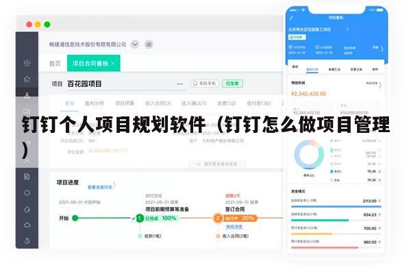 钉钉个人项目规划软件（钉钉怎么做项目管理）