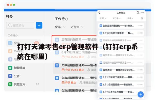 钉钉天津零售erp管理软件（钉钉erp系统在哪里）