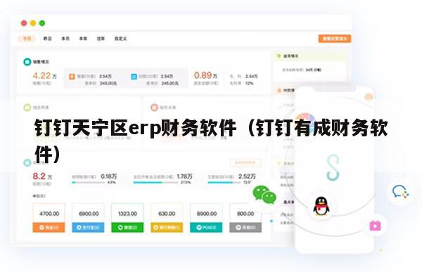 钉钉天宁区erp财务软件（钉钉有成财务软件）
