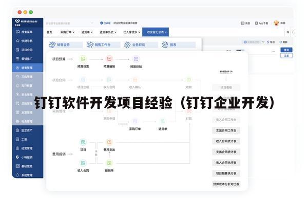 钉钉软件开发项目经验（钉钉企业开发）