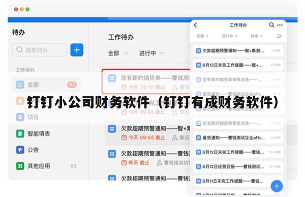 钉钉小公司财务软件（钉钉有成财务软件）