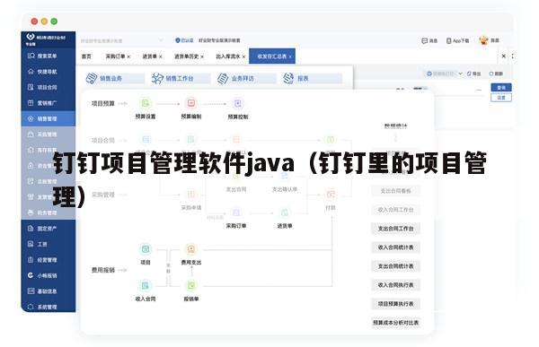 钉钉项目管理软件java（钉钉里的项目管理）