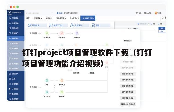 钉钉project项目管理软件下载（钉钉项目管理功能介绍视频）