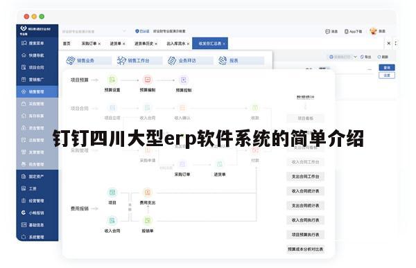 钉钉四川大型erp软件系统的简单介绍