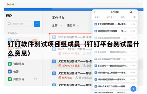 钉钉软件测试项目组成员（钉钉平台测试是什么意思）